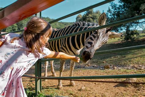 Fotografia vstupu do ZOO Košice so seniorom