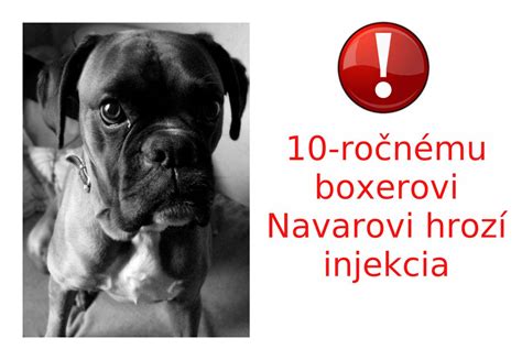 Ilustrácia rodiny v novom, zariadenom byte