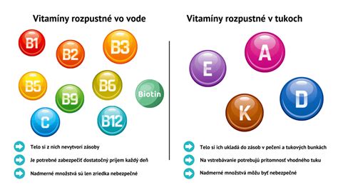 Porovnanie výživného pri rôznych modeloch starostlivosti