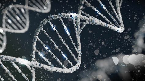 Schéma pôsobenia voľných radikálov na bunky a DNA