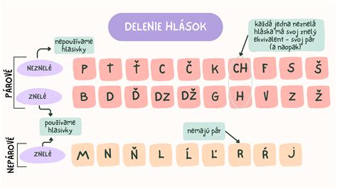 Schéma: Delenie lekárov podľa skupín