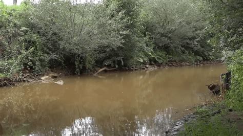 Znečistená bazénová voda
