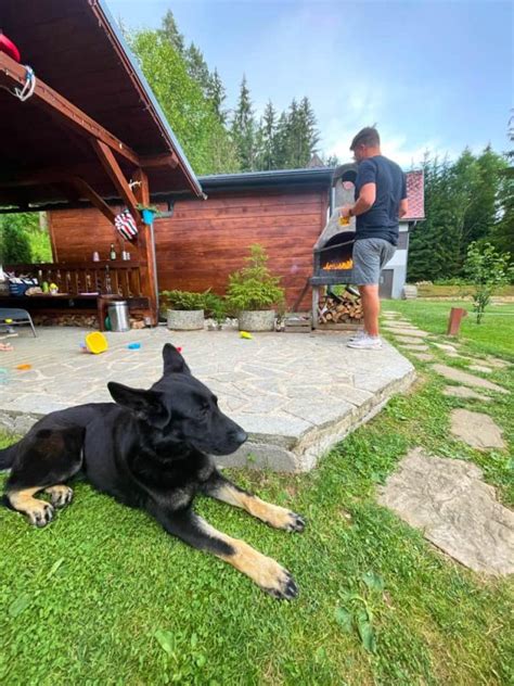 Ilustrácia rodiny hrajúcej sa so psom v záhrade