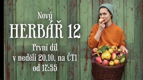 Odborník na výživu diskutujúci so seniorkou o jej stravovacom pláne