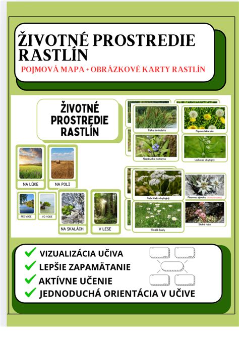 Mapa interiéru s odporúčanými umiestneniami rastlín