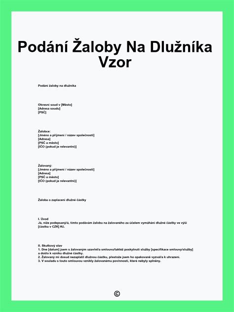 Štruktúra súdnej žaloby