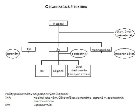 Vizualizácia organizačnej štruktúry Sociálneho úradu v Trebišove