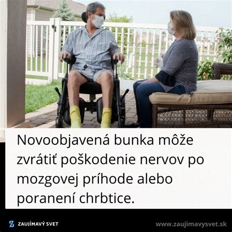 Ľudia vykonávajúci rôzne typy fyzickej práce