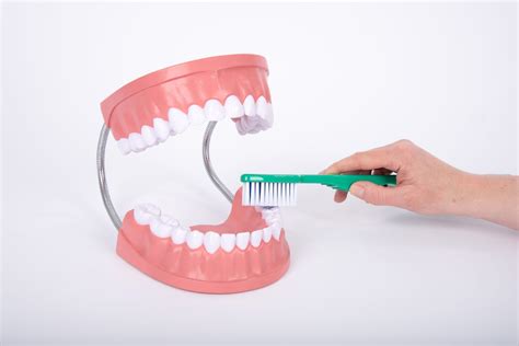 Príprava pomôcok na ústnu hygienu