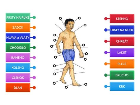 Ilustrácia ľudského tela s vyznačenými bodmi bolesti