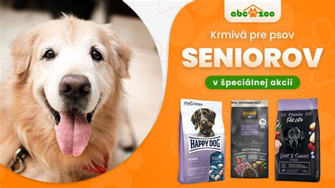 Pes s veterinárom na predoperačnej konzultácii