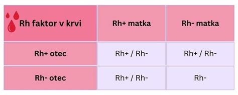 Interakcia Rh- matky a Rh+ plodu