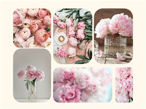 Koláž rôznych typov inkontinenčných pomôcok