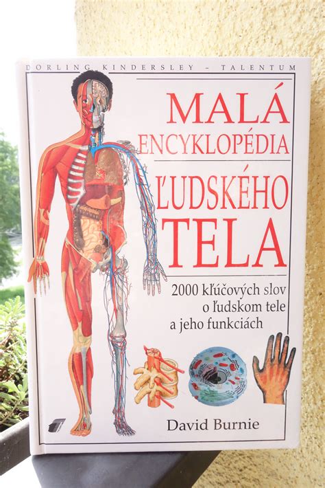 Metafora ľudského tela ako domu