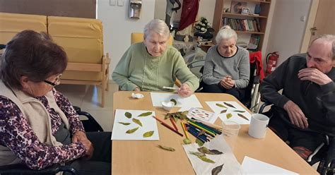Senior pracujúci v oblasti sociálnych služieb