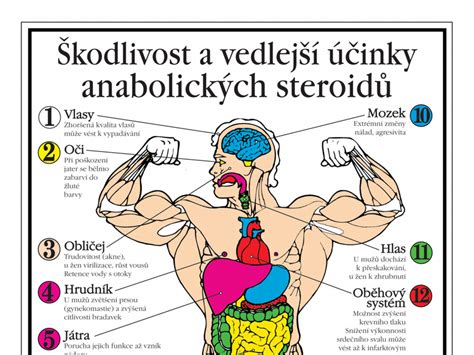 Grafika zobrazujúca typické príklady anabolických látok a ich účinky na telo.