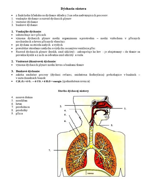 Jaskyňa pre speleoterapiu s ľuďmi cvičiacimi dýchanie
