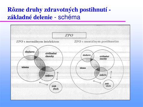 Druhy zdravotných postihnutí