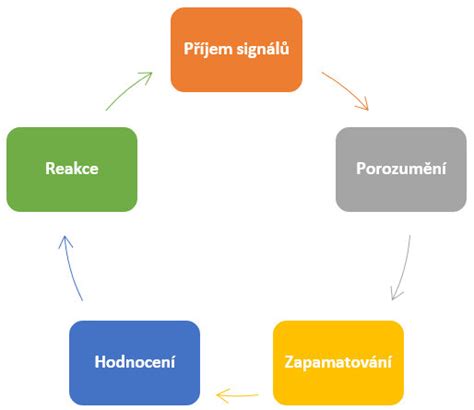 Schéma terapeutického procesu protialkoholického liečenia