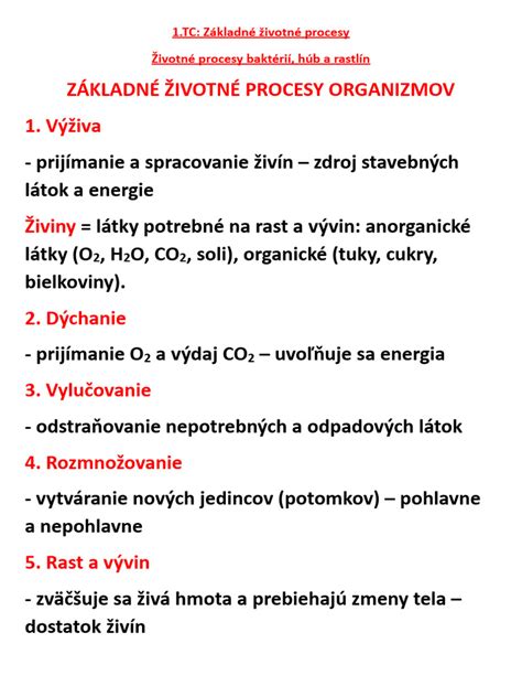 Infografika - základné životné potreby