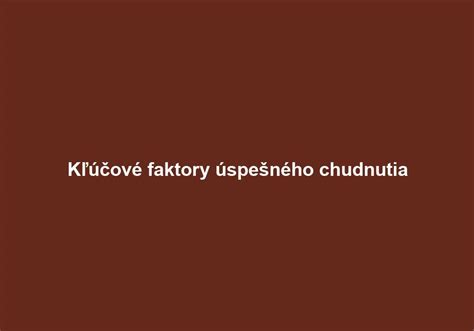 Infografika: Kľúčové faktory úspešného riadenia sociálneho podniku