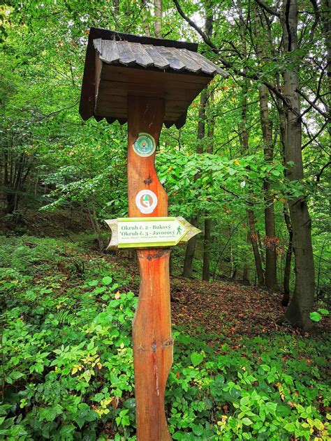 Informačná tabuľa na náučnom chodníku v lese