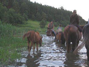 Jazda na koni na ranči