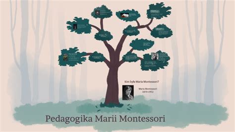 Montessori pedagogika a jej princípy
