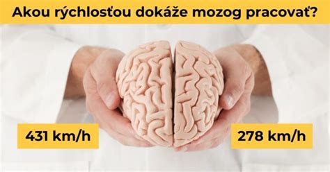 Schéma tvorby mentálnych obrazov v ľudskom mozgu