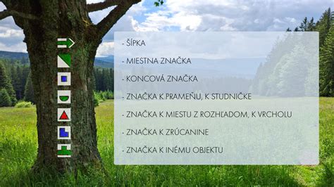 Infografika: Vysvetlenie stupňov odkázanosti
