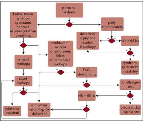 Diagnostický algoritmus IBS