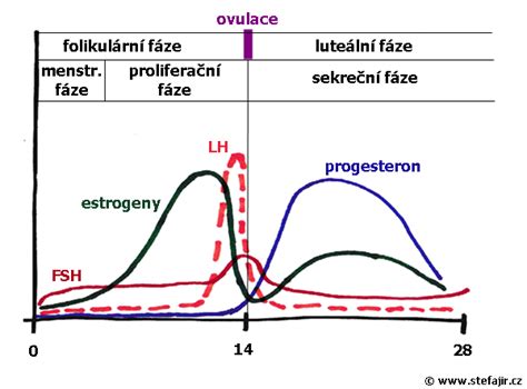 Graf hladín hormónov počas menopauzy