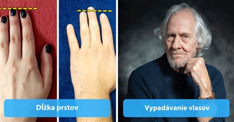 schéma rozdielov medzi hnevom a agresivitou