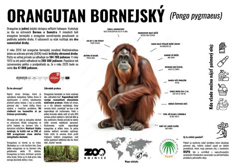 Infografika: Rozdiel medzi oligofréniou a demenciou