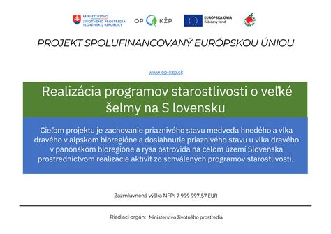 Štruktúra intervenčných programov na Slovensku
