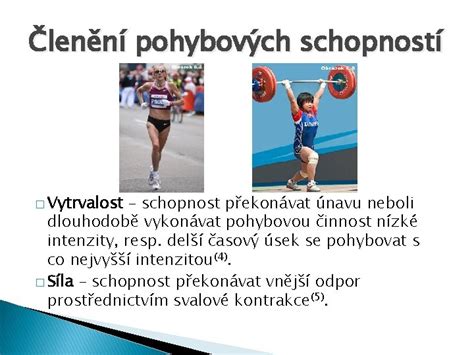 Schéma metodiky testovania pohybových schopností