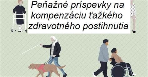 Grafika s prehľadom druhov príspevkov ŤZP
