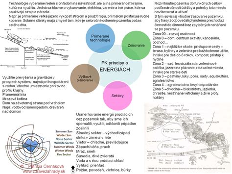 Infografika: Princípy inkluzívneho dizajnu
