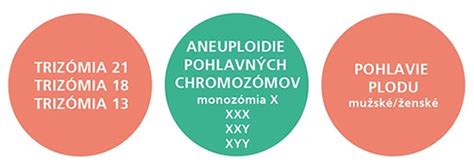 Štruktúra chromozómov a vplyv trizómie 13