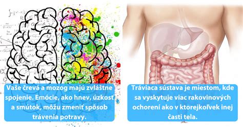Infografika o cievnom systéme človeka
