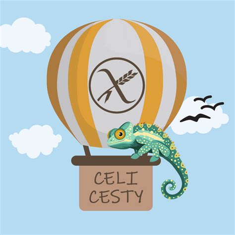 Ilustrácia označenia preukazu ZŤP