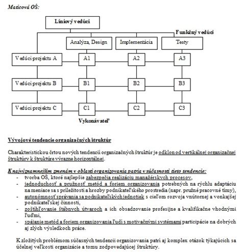 Porovnanie organizačných štruktúr v nadnárodných spoločnostiach
