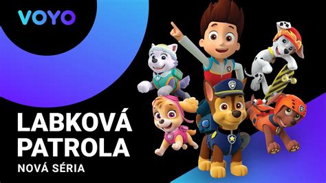 Obrázok postavičky Rexa z Tlapkovej patroly na invalidnom vozíku