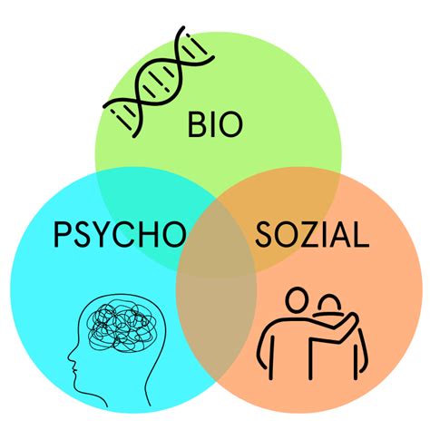 Schéma bio-psycho-sociálneho modelu zdravotného postihnutia