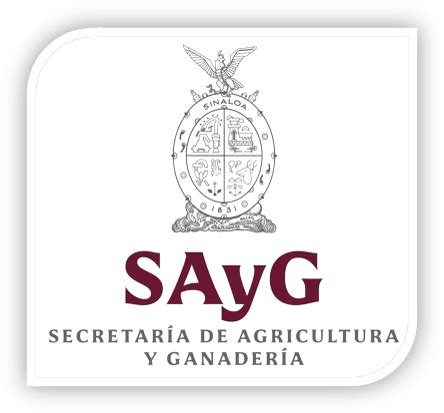 Logo športových hier SAYG