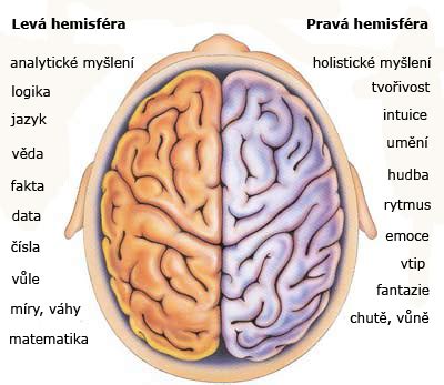Schéma fungovania ľavej a pravej mozgovej hemisféry