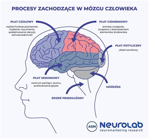 Mentálne rotácie mozgu
