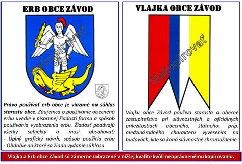 Erb a vlajka obce Drietoma