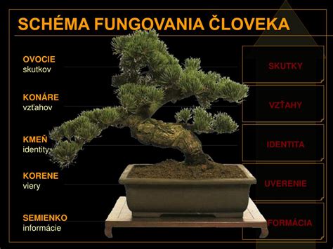 Schéma fungovania pamäte