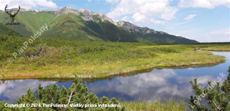 Krásna tatranská príroda na jar